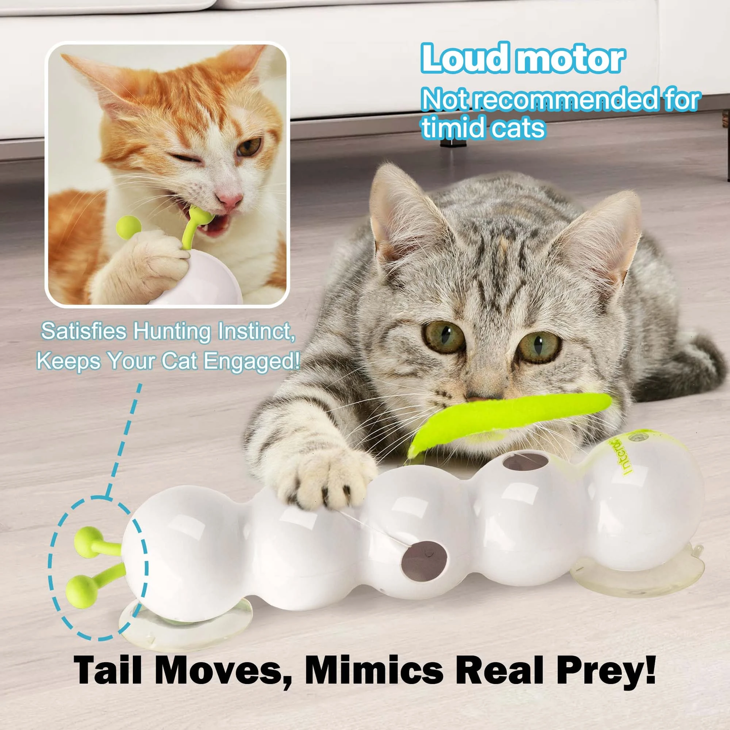 Cat Interactive Toy Caterpillar