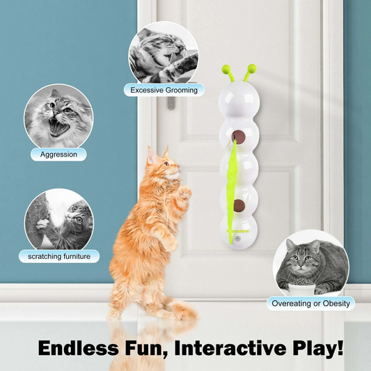 Cat Interactive Toy Caterpillar