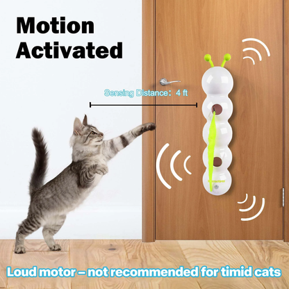 Cat Interactive Toy Caterpillar